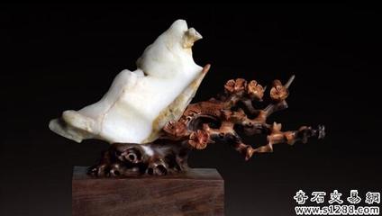 韩国石友首次亮相银川赏石旅游节，助力石材文化交流与市场拓展