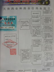 拍卖商品全攻略 探索各类商品拍卖的世界